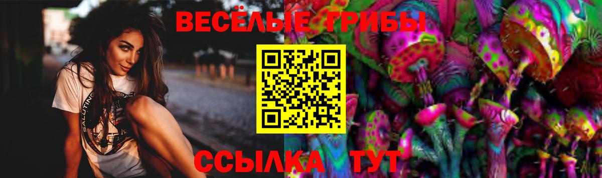 купить наркотик  Псилоцибиновые грибы Psilocybine cubensis  Вход с VPN  Дальнереченск 