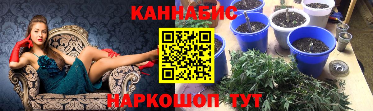 Бошки марихуана семена  Конопля Ganja  Дальнереченск  Вход с VPN  Бошки марихуана MAZAR  Конопля индика 